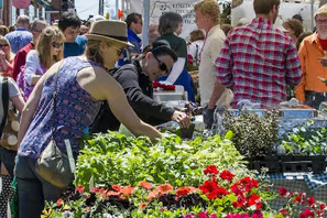 Leesburg Flower & Garden Festival