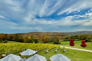 Virginia Wine Drives